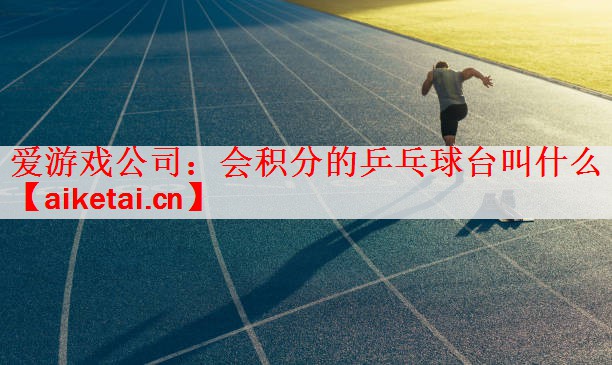 爱游戏公司：会积分的乒乓球台叫什么